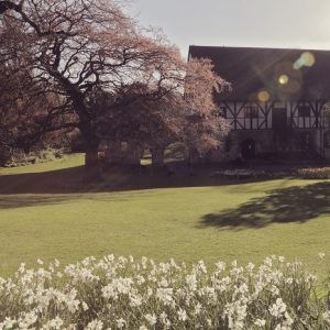 Medieval style building in gardens